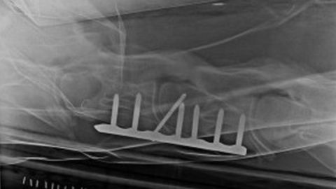 tierklinik-alt-sammit_nagel_2016_07_26