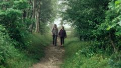 Wandern auf dem Naturparkweg durch die Mecklenburgische Schweiz