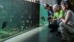 Naturerlebniszentrum Müritzeum Waren (Müritz)