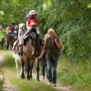 Urlaub auf dem Land mit Ponyführungen 