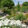 Am Gartenteich