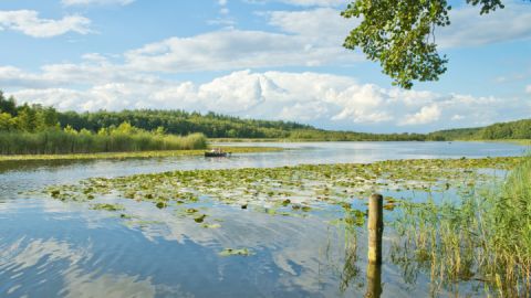 Alte Fahrt auf der Kanutour Mirow-Müritz-Rundtour