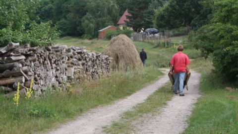 Alter Pilgerweg in Wustrow