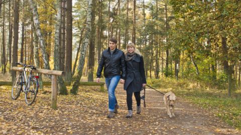 Wanderer am Käflingsbergturm auf der Wandertour Müritz-Nationalpark Weg