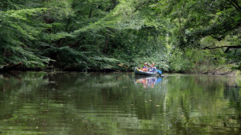 Bei Blankenförde auf der Kanutour - Obere-Havel-Tour