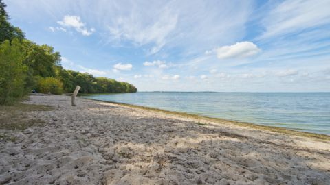 Bolter Kanal auf der Kanutour Mirow-Müritz-Rundtour