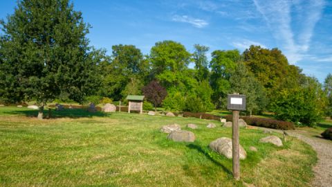 Dendrologischer Park - Friedrichsfelde auf der Wandertour Ankershagen - Bornhof und zurück