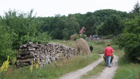 Dorfidylle in Wustrow