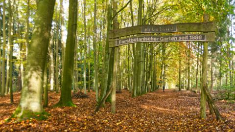 Eingang zum Forstbotanischen Garten Erbsland