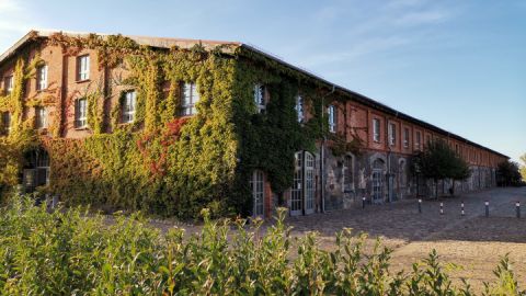 scheune-bollewick-profil-foto-ute-hager