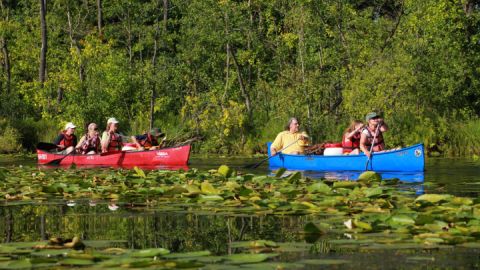 Amazonas des Nordens 1