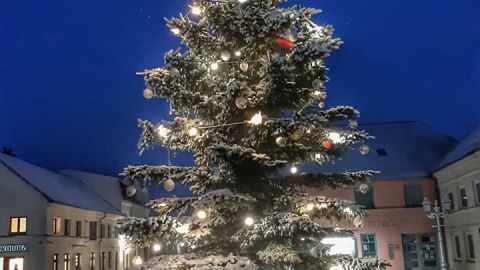 2021 12 03 Weihnachtsbaum Markt Bildautor Gabriele Riech