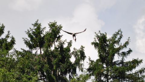 seeadler-tour-boots-berg-3_1