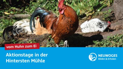 neuw-konzern_externe-komm_tierheim_aktionstage-24-vom-huhn-zum-ei