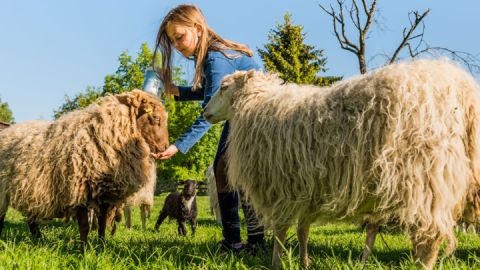 Familienurlaub auf dem Ferienbauernhof