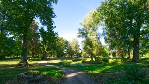 Friedrichsfelde auf der Wandertour Ankershagen - Bornhof und zurück