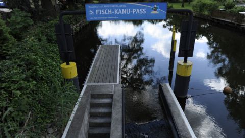 Fisch-Kanu-Pass Station in Fürstenberg auf der Kanutour 4 - 5 Tage - Mirow bis Fürstenberg