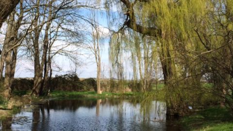 Frühling in der Mecklenburgischen Schweiz