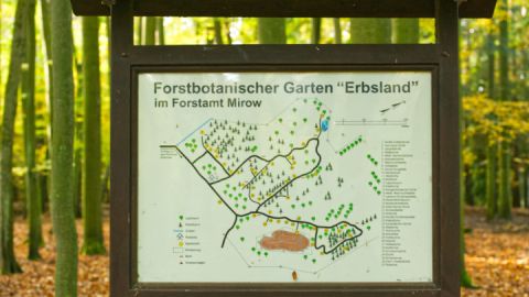 Informationstafel Forstbotanischer Garten "Erbsland" im Forstamt Mirow