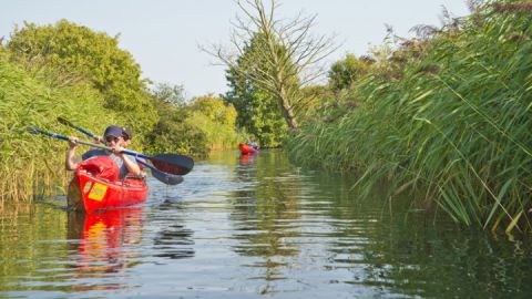Paddler im Kanu auf der Kanutour Die Havelquell-Tour