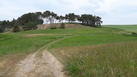 Landschaft Gravelotte in Meesiger