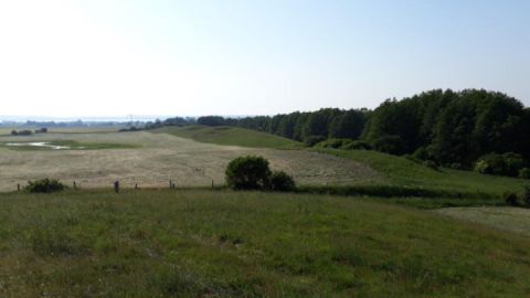 Blick auf die Landschaft Sommersdorf