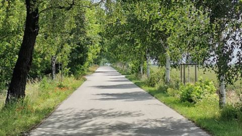 Lindenallee bei Sommersdorf