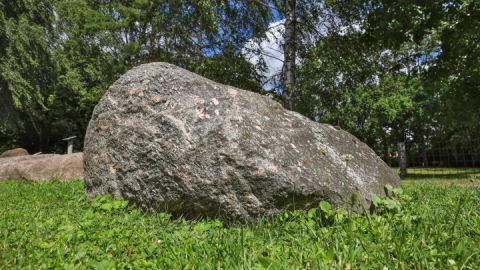 Gesteinsgarten Hohen Mistorf_1