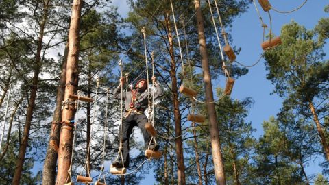 Groß Quassow_WaldseilgartenHavelberge2_Haveltourist