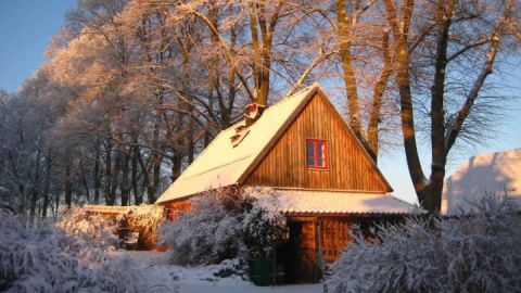 fh-rohrdommel-im-winter