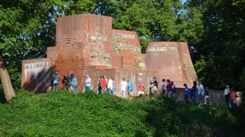 Burgruine Haus Demmin