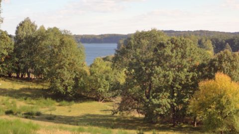 Blick auf den Carwitzer See