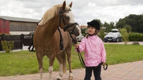 Ferienhof Mirow_Pferdenarren Groß und Klein