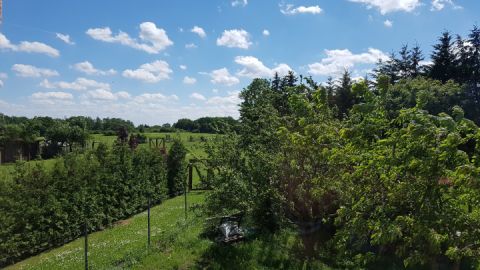 Aus dem Schlafzimmerfenster haben Sie einen wundervollen Blick in die weite Landschaft
