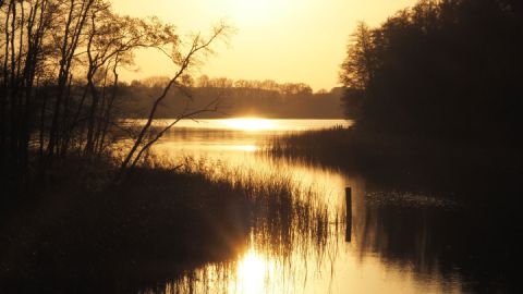 Badestelle am Vilzsee