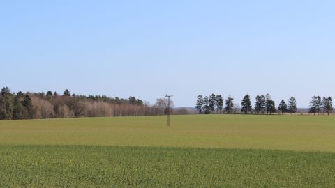 Sicht auf den bewohnten Horst