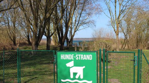 Eingezäunter Hundebereich