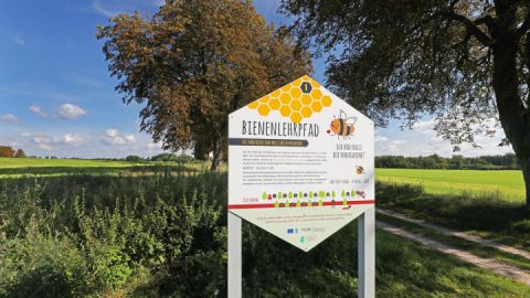 Bienenlehrpfad im Land Fleesensee_1