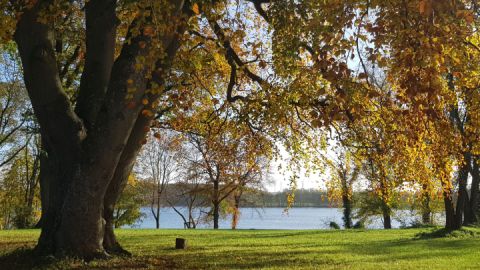 Park Penzlin