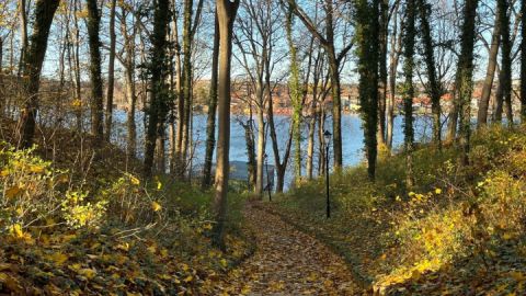 Wege von oben nach unten