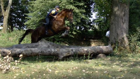 Reitsportzentrum Sabine Bender