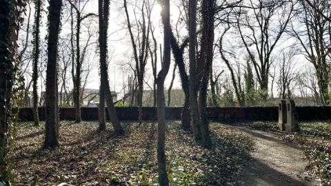Der Jüdische Friedhof