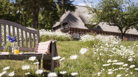 Gästehaus im Park