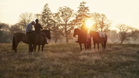 Ausritte im Western-Stil