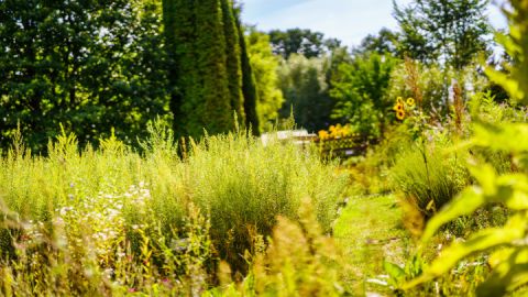 Klosterkräutergarten Himmelpfort