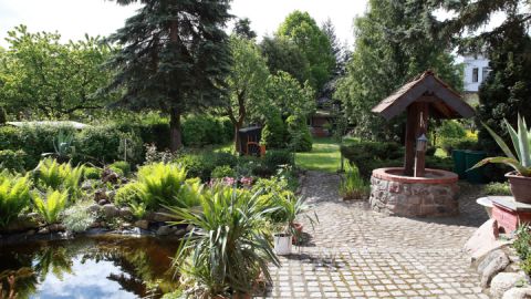 Pension Luisenstube