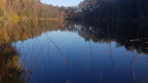 wienpietschsee