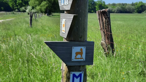 wegweiser