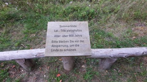 Tafel Linde