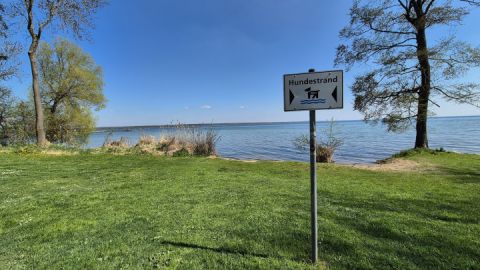 Hundebadestrand Klink